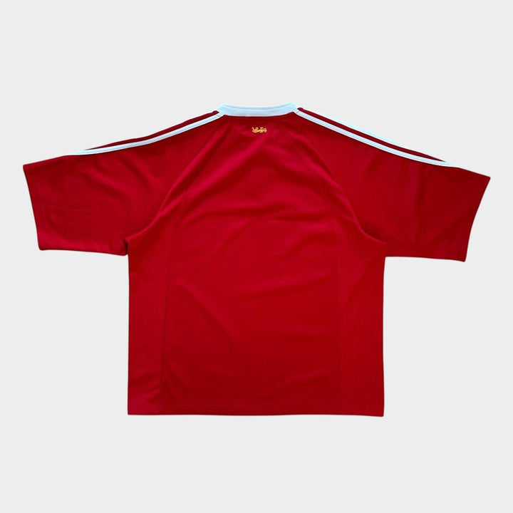 Camiseta de rugby Vintage Lions - XL