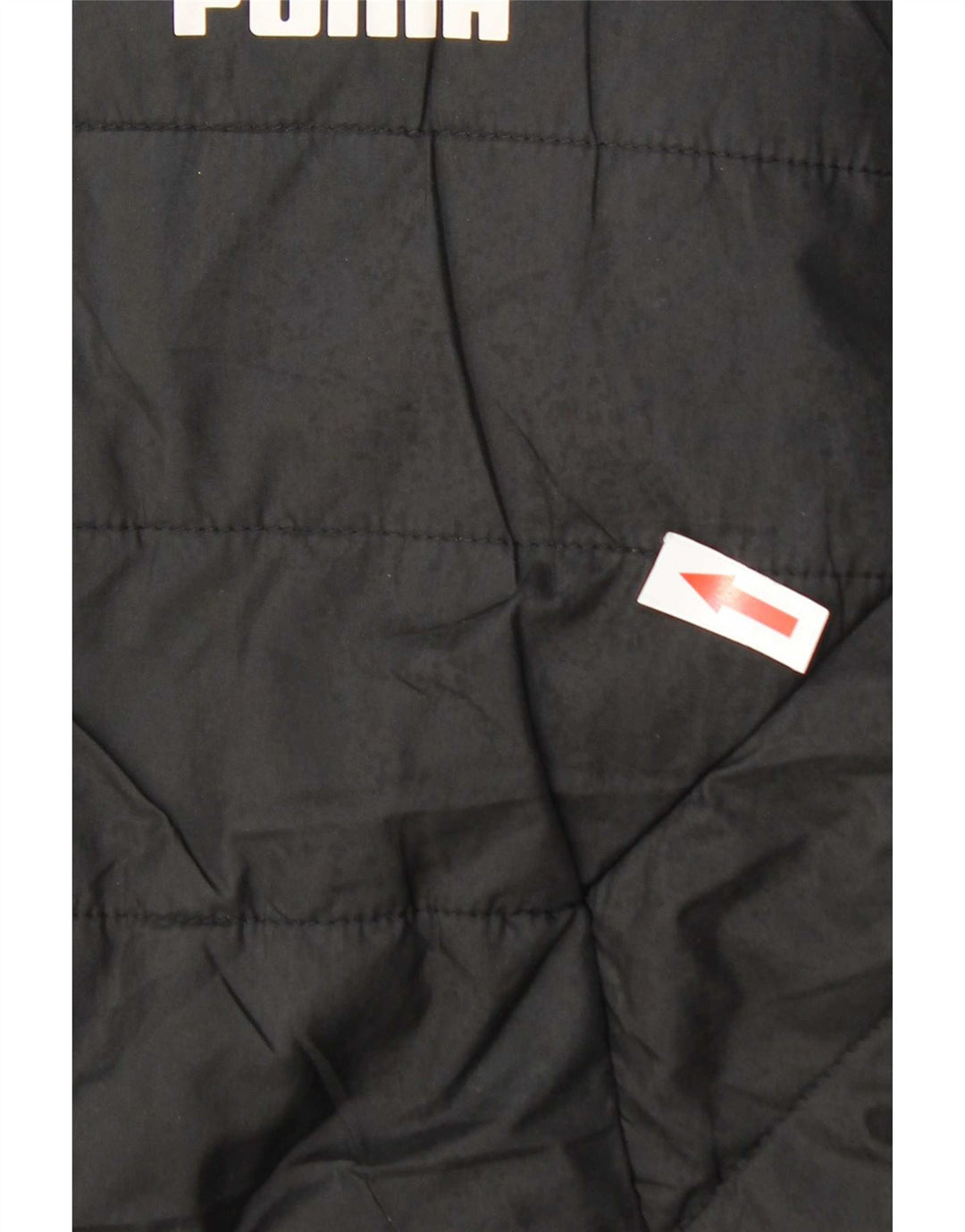 Puma Chaqueta acolchada con capucha para niño 11-12 años Negro Poliéster