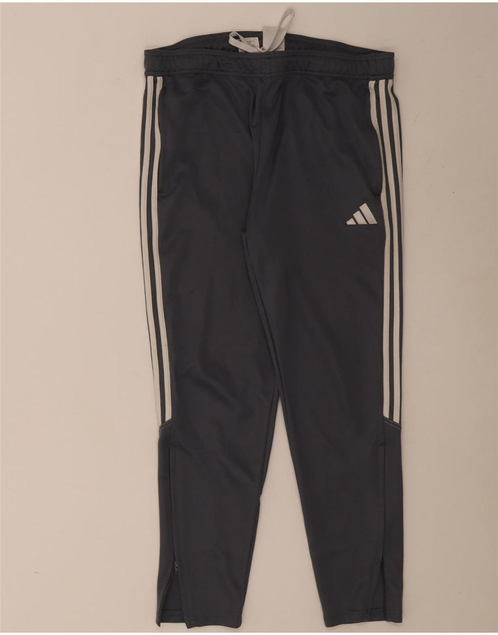 Adidas Pantalón Chándal Hombre XL Gris Poliéster