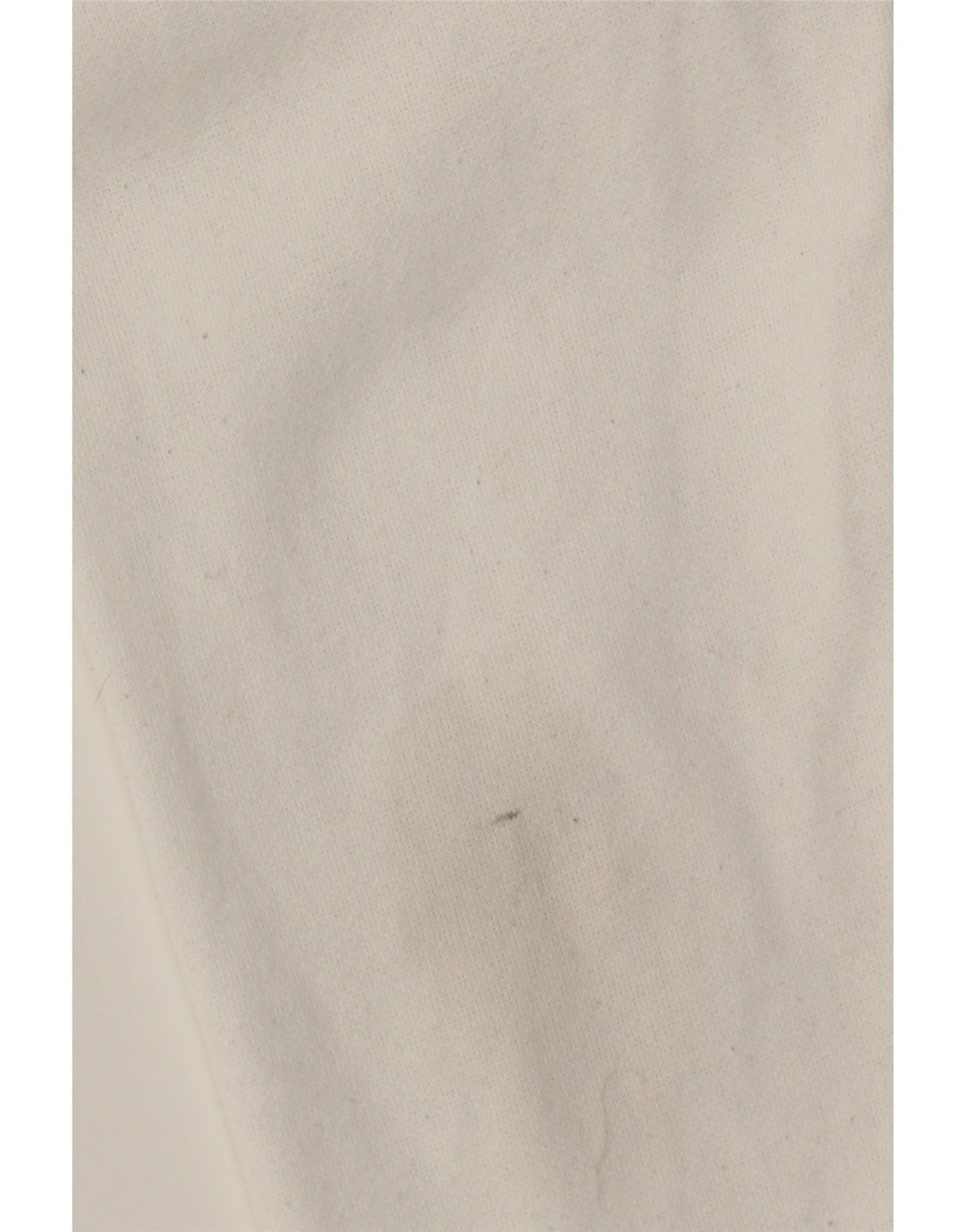 CHAMPION Boys Graphic Sweatshirt Jumper 13-14 Years XL White Vintage Champion and Second-Hand Champion from Messina Hembry 