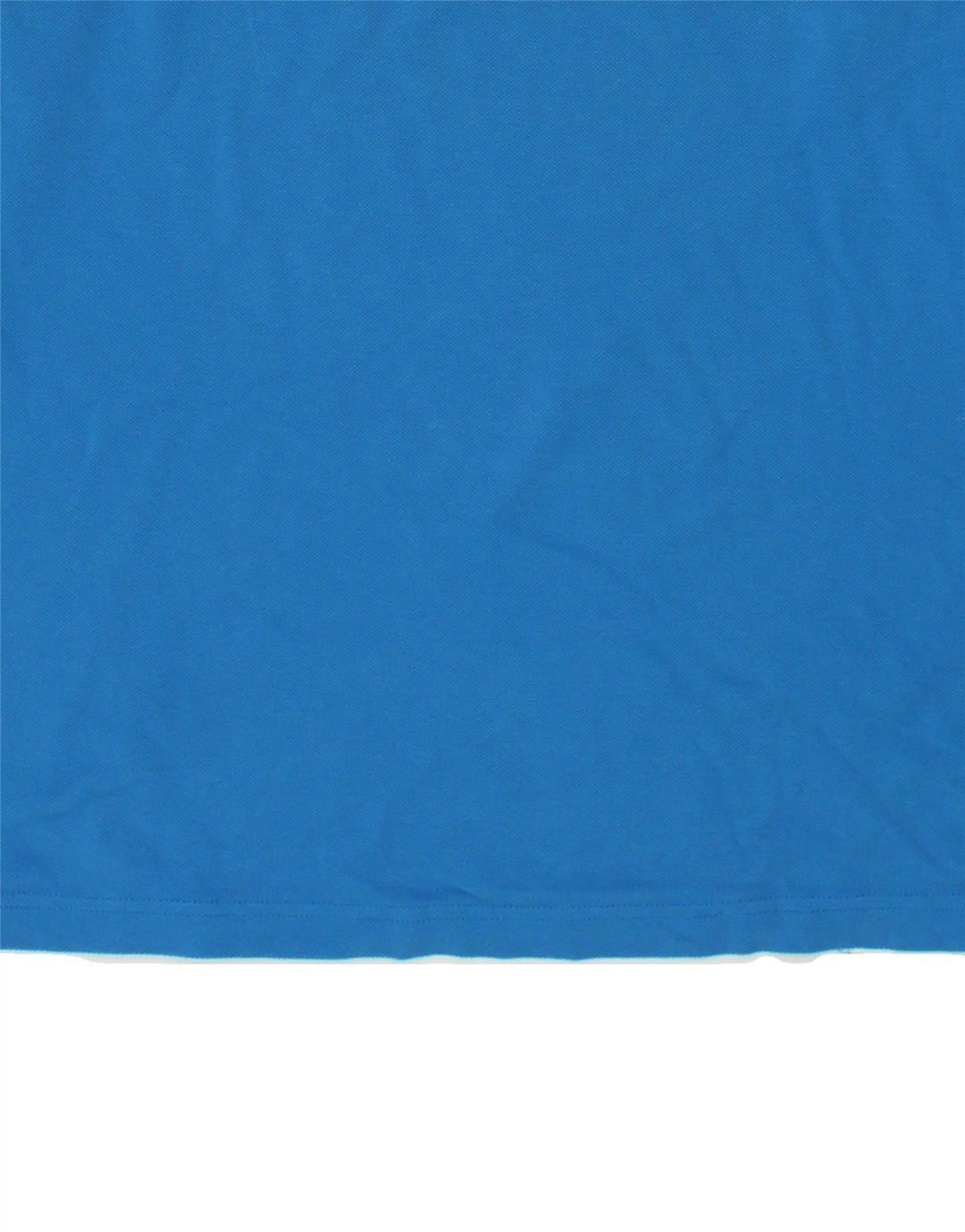 CHAMPION Mens Long Sleeve Polo Shirt Large Blue Cotton Vintage Champion and Second-Hand Champion from Messina Hembry 