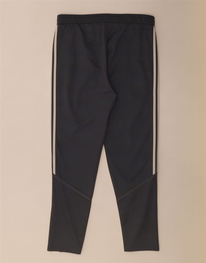 Adidas Pantalón Chándal Hombre XL Gris Poliéster