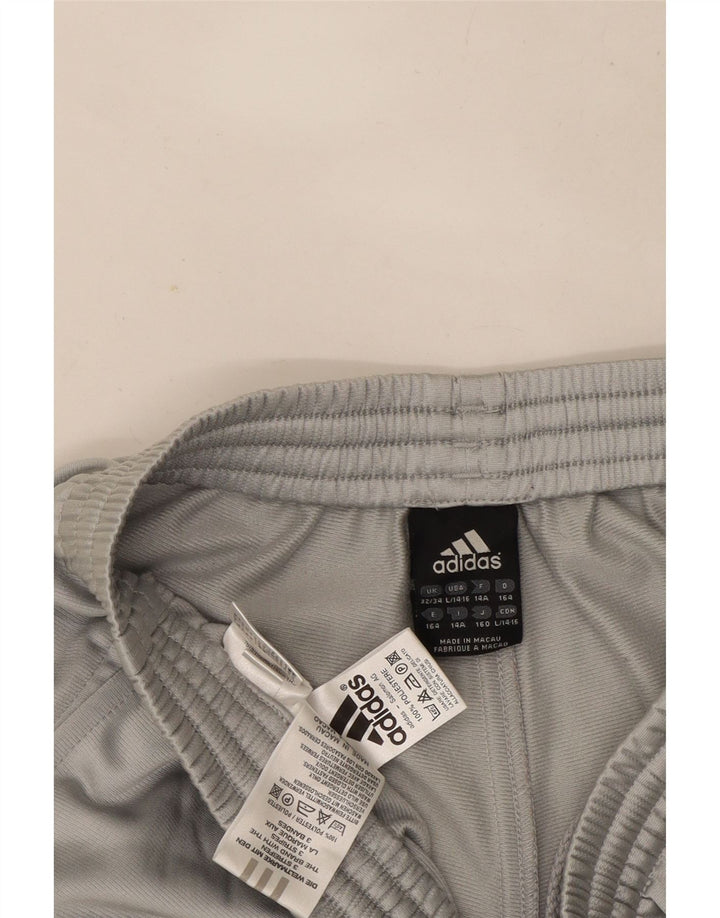 Adidas Pantalón Chándal Niño 13-14 Años Gris Poliéster
