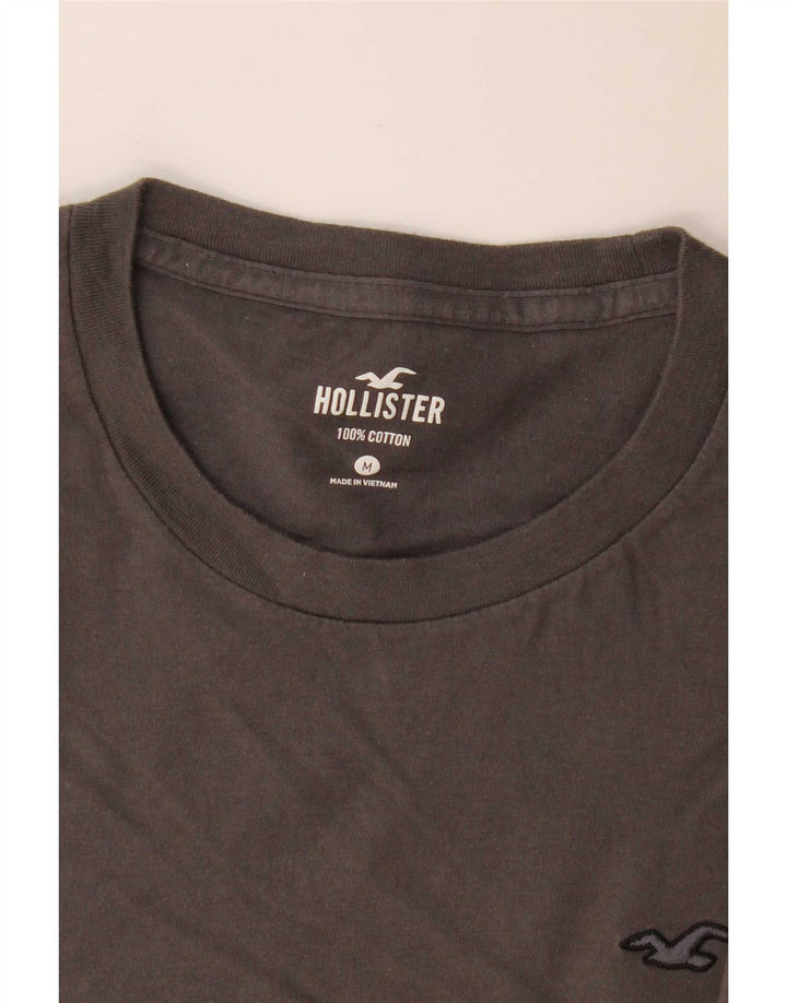 Camiseta Hollister Hombre Top Algodón Gris Medio