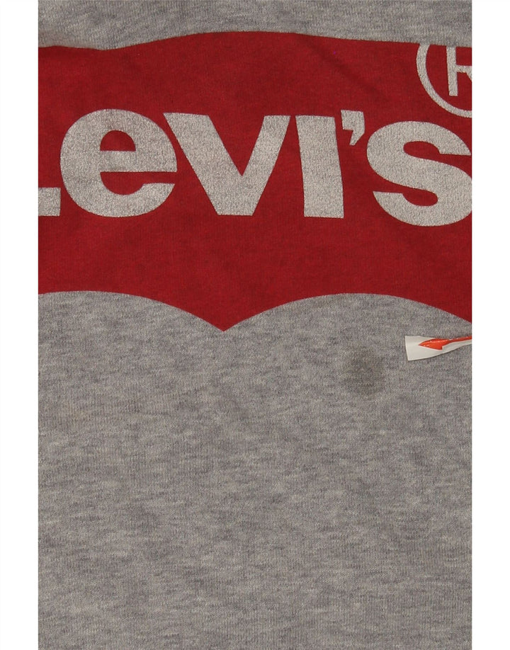 Levi's Hombre Sudadera Con Capucha Gráfica De Algodón Moteado Gris Medio