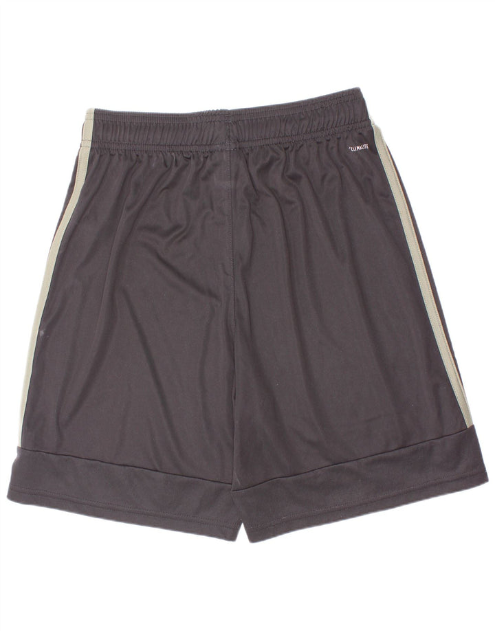 Adidas Chicos Climalite Sport Shorts 13-14 Años Negro Poliéster