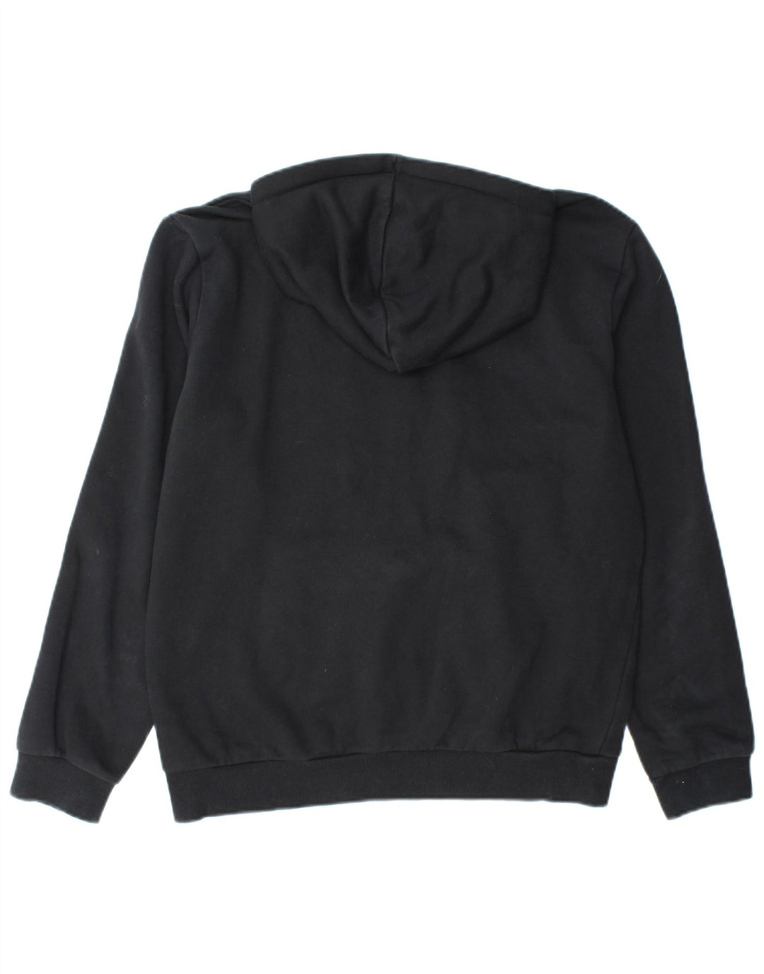 PUMA Jersey con capucha gráfica para hombre Algodón negro mediano