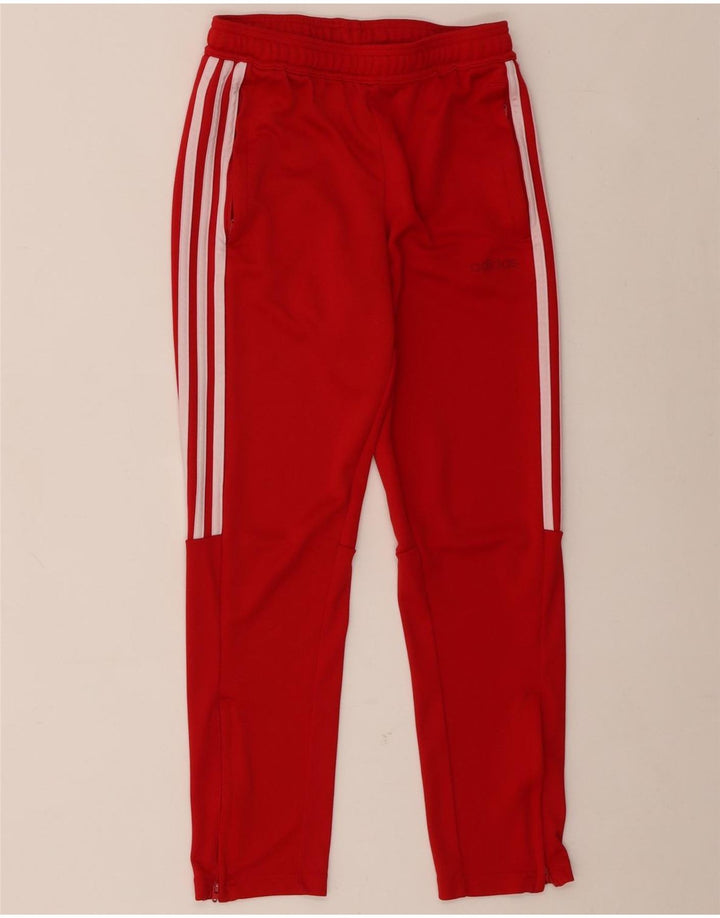 Adidas Pantalones de Chándal Climalite para Niños 11-12 Años Rojo Poliéster