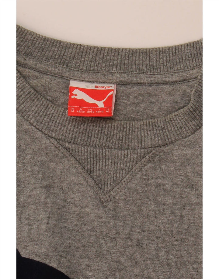 Puma Sudadera Gráfica Jumper Gris Medio Moteado