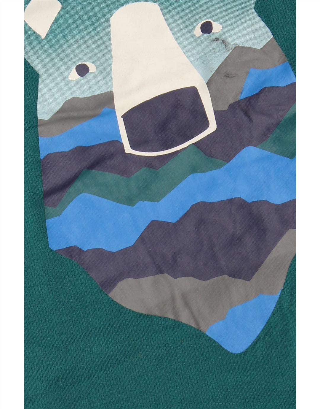 EDDIE BAUER Camiseta gráfica para niños de manga larga 13-14 años Grande Verde