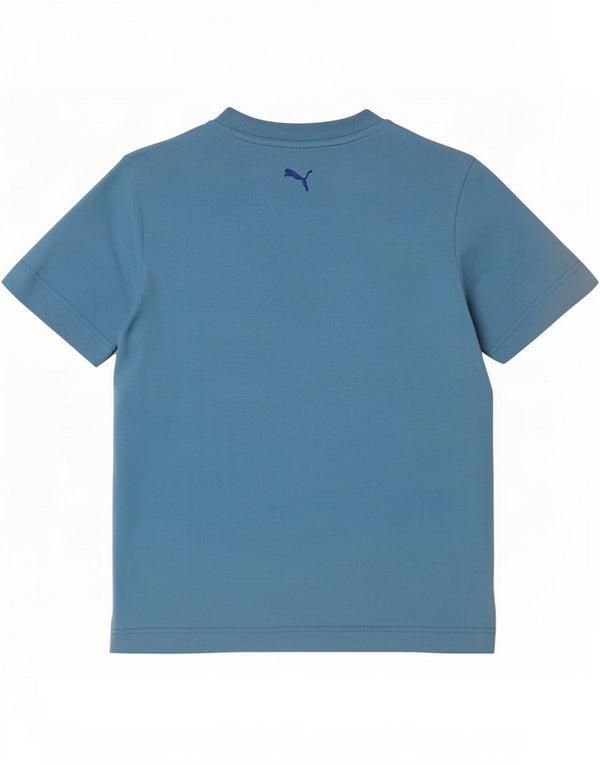 Puma Camiseta gráfica para hombre Top Small Blue