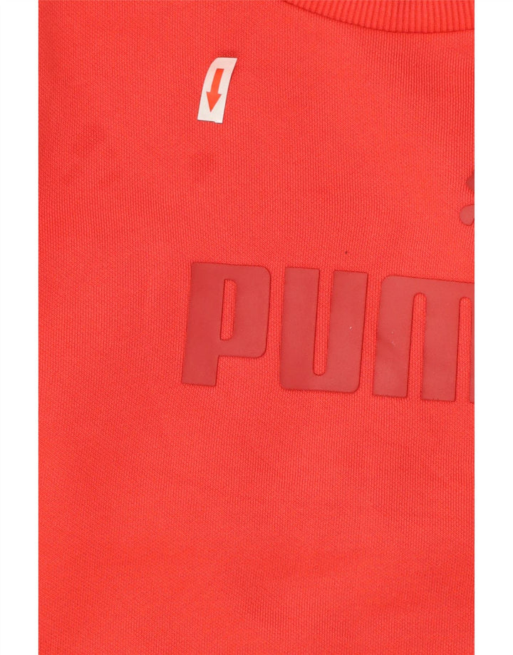 Puma Sudadera Gráfica para Hombre Jumper Small Rojo
