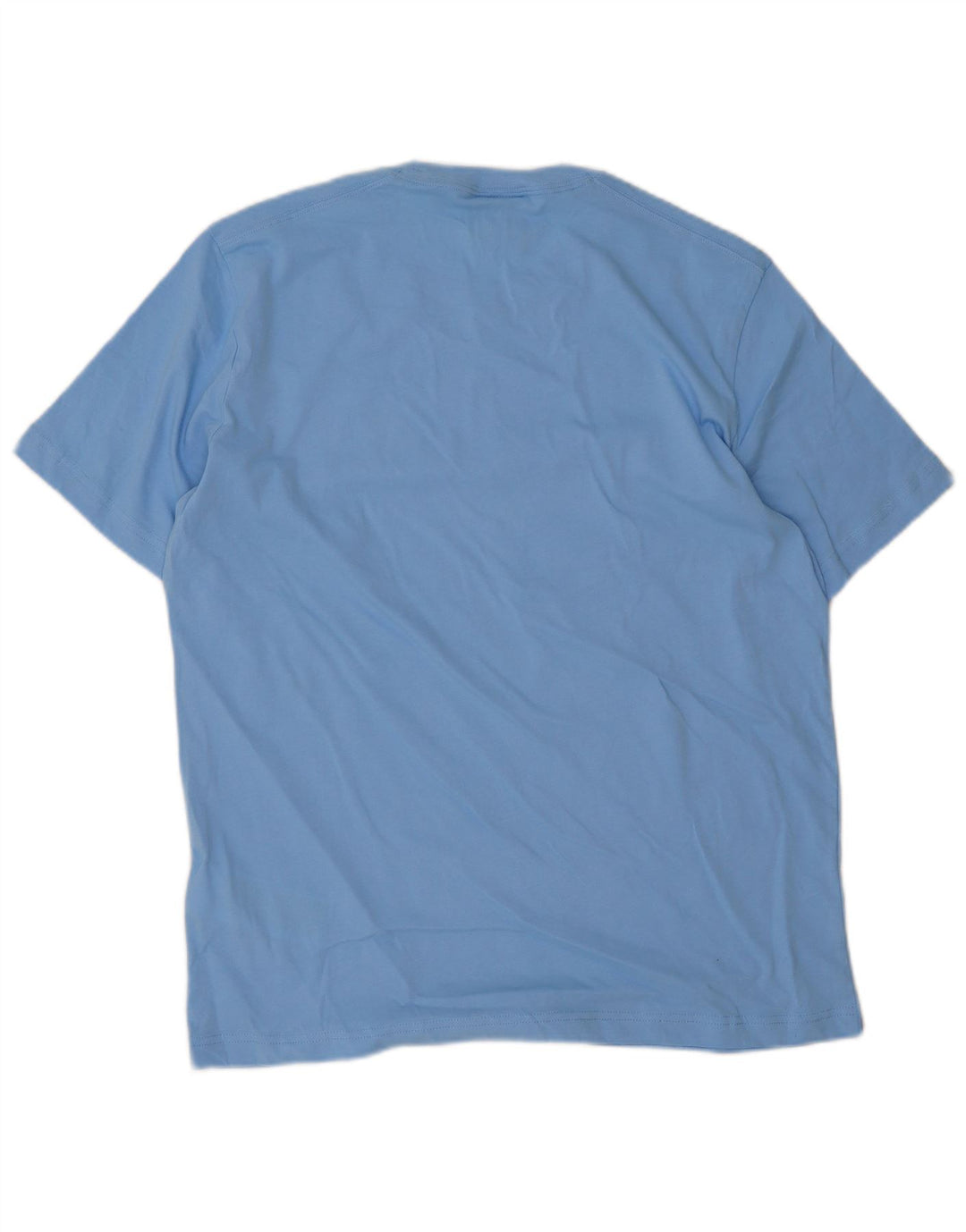 Champion Mens Graphic T-Shirt Top Medium Blue Cotton