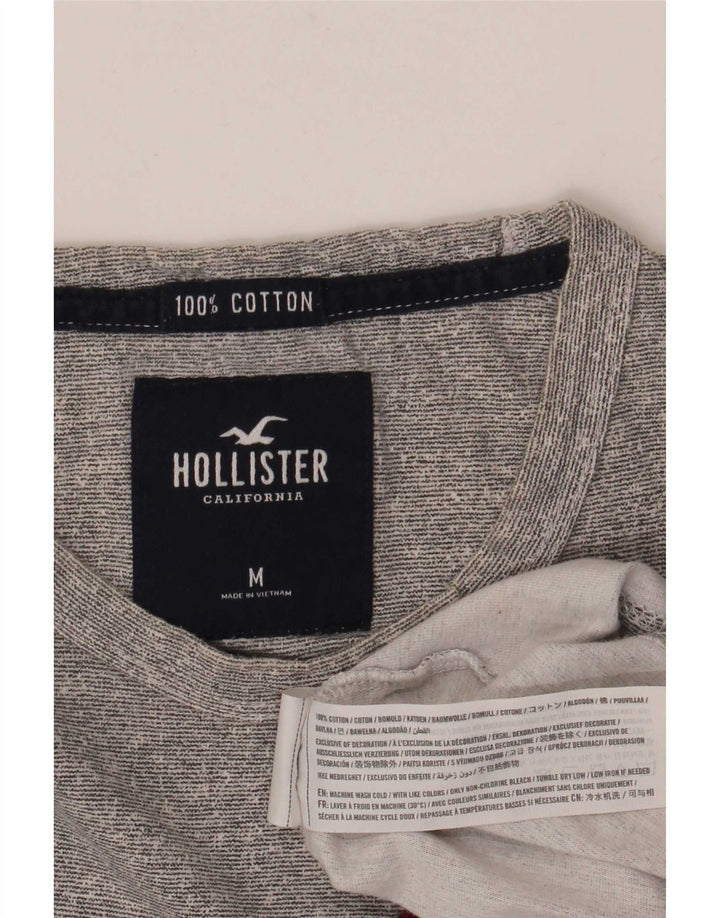 Camiseta Hollister Hombre Graphic Top Algodón Gris Medio