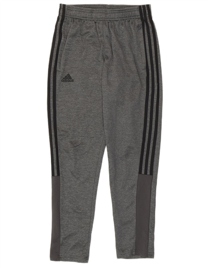 Adidas Pantalones de chándal Climawarm para niños 11-12 años Gris Poliéster
