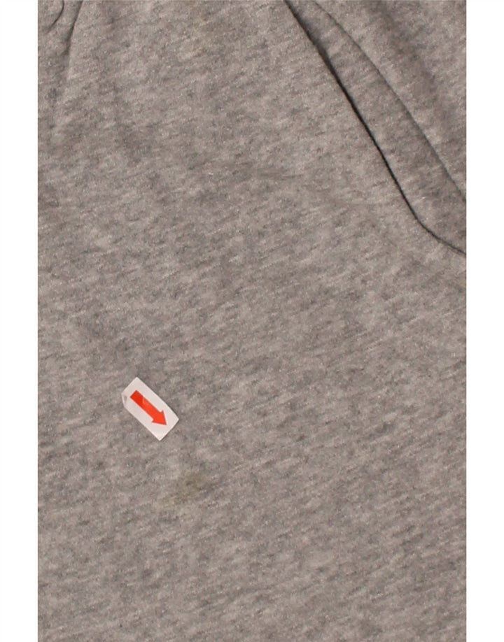 NIKE Mens Graphic Sport Shorts Large  Grey Cotton