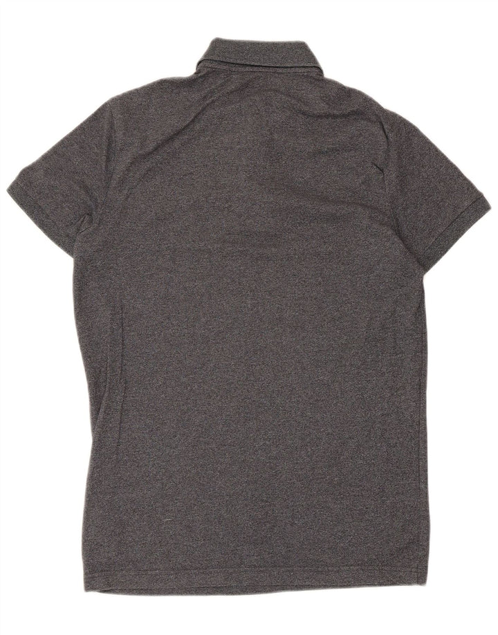 Polo Hollister Hombre Algodón Gris Pequeño