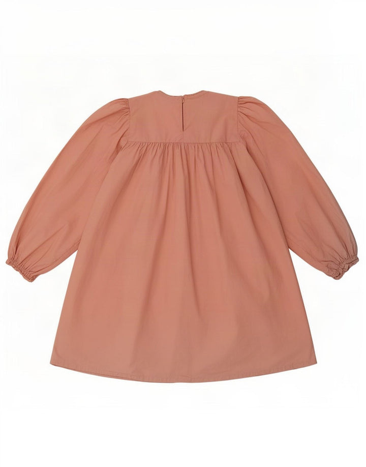 Zara Blusa extragrande de manga larga para mujer UK 42 Medium Pink
