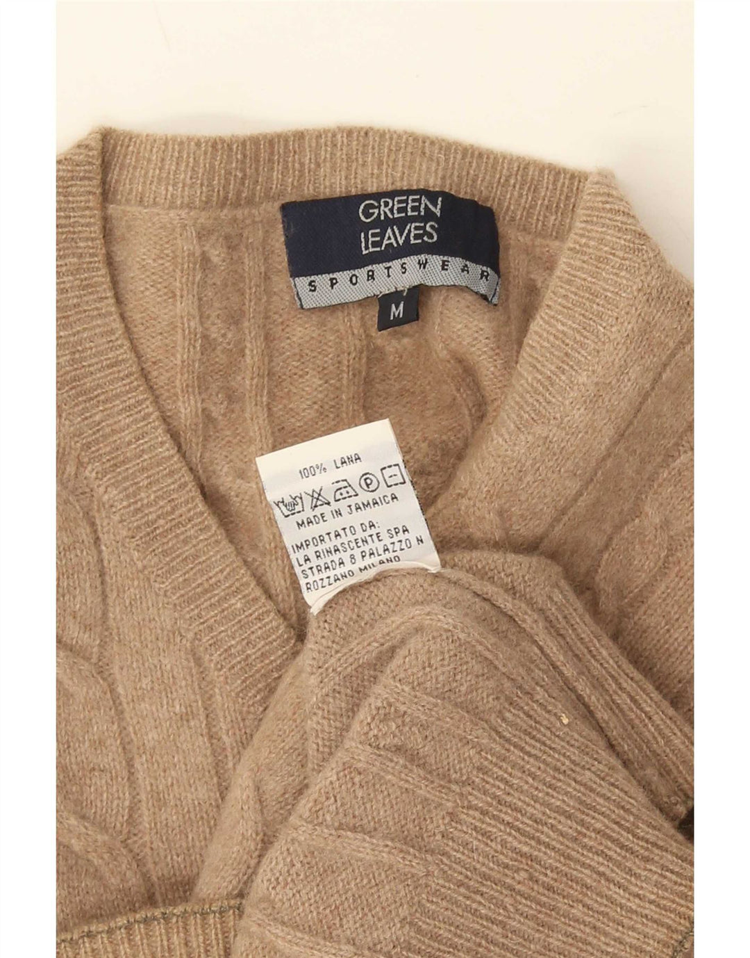 Jersey con cuello en V para hombre con hojas verdes de lana beige medio