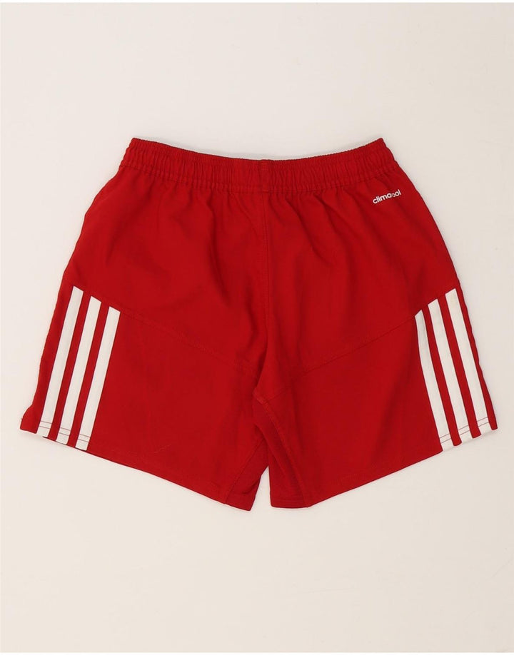 Adidas Climacool Graphic Sport Shorts UK 8 Pequeño Poliéster Rojo
