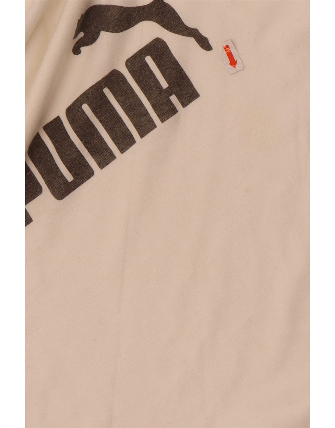 Puma Hombre Gráfico Top Manga Larga Pequeño Blanco