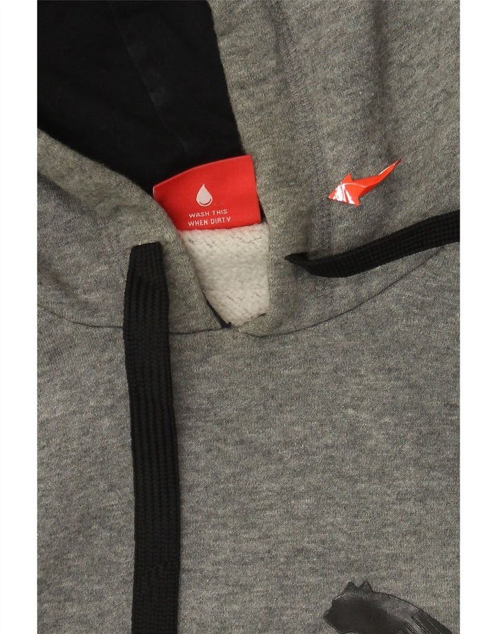 PUMA Jersey con capucha gráfica para hombre, tamaño grande, algodón gris