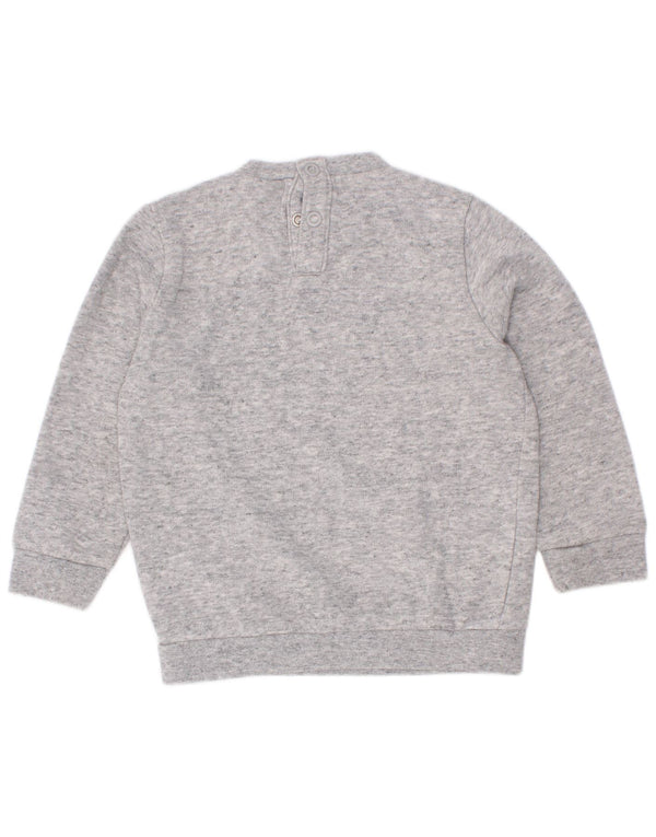 Champion Sudadera gráfica para bebés de 9 a 12 meses, talla pequeña, color gris moteado