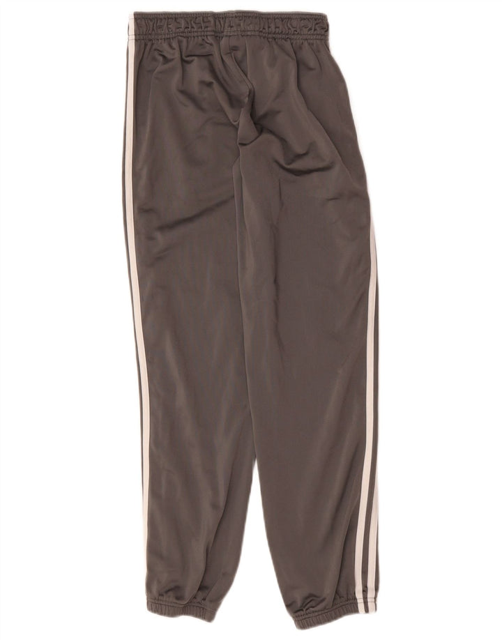 Adidas Pantalón Chándal Niño Joggers 11-12 Años Gris Poliéster
