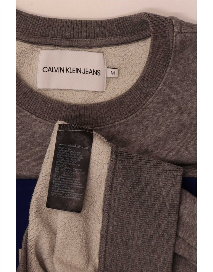 Calvin Klein Jeans Sudadera gráfica para mujer Jumper UK 14 Gris medio