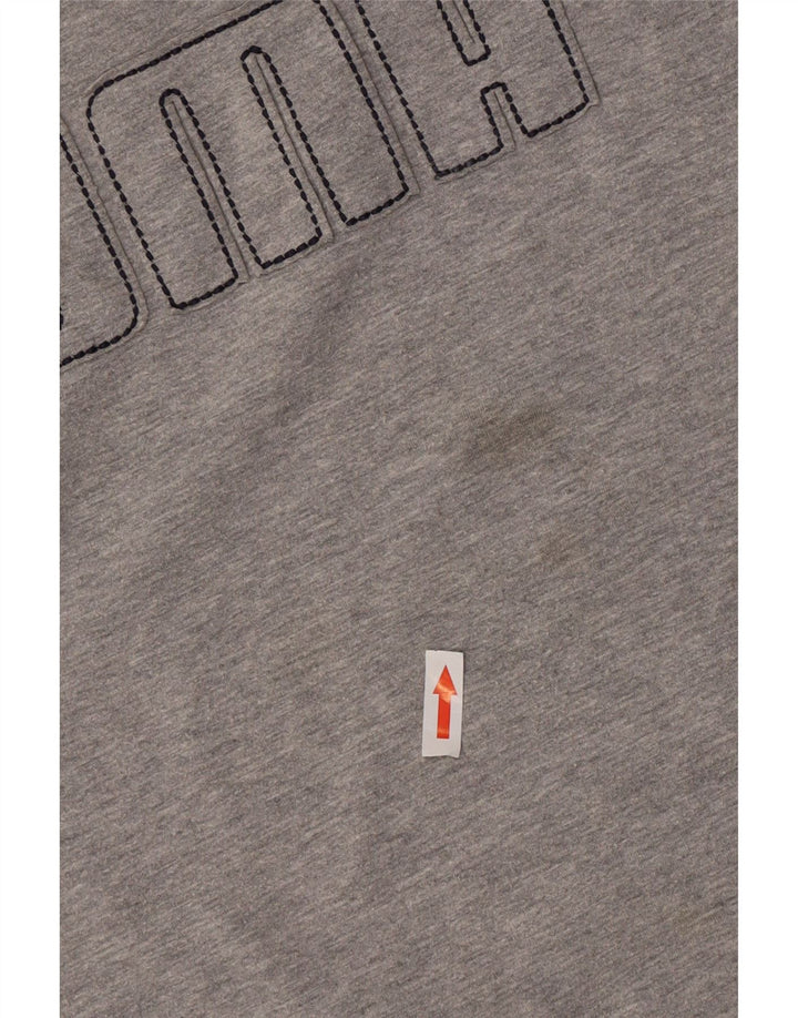 Puma Hombre Gráfico Top Manga Larga Grande Gris