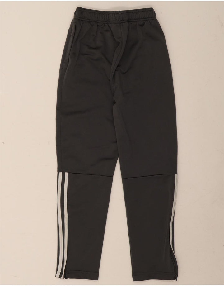 Adidas Pantalón Chándal Niño 11-12 Años Gris Poliéster