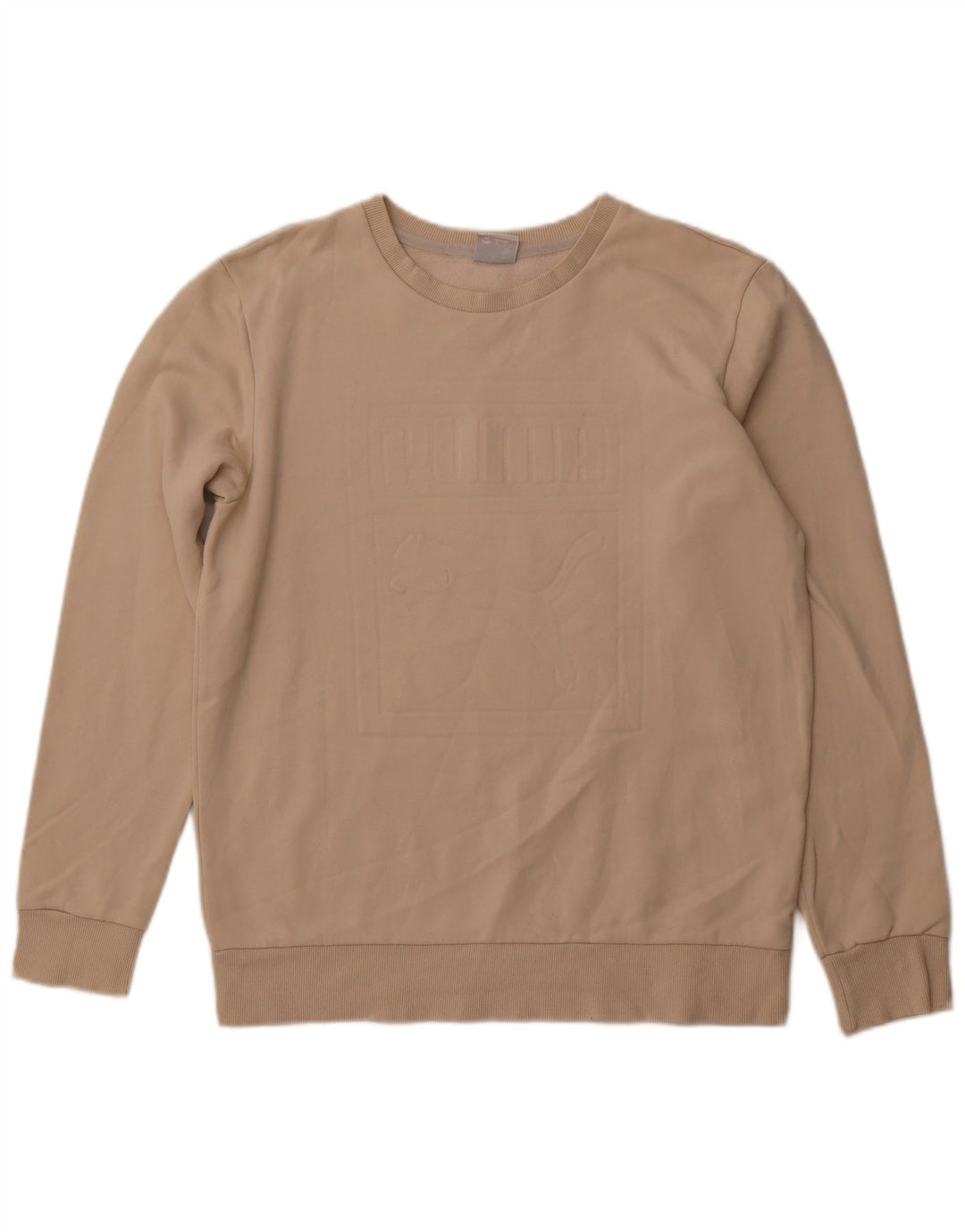 PUMA Sudadera con estampado gráfico para hombre, jersey de algodón beige medio