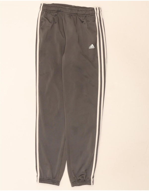 Adidas Pantalones de chándal para niño Joggers 13-14 años Gris