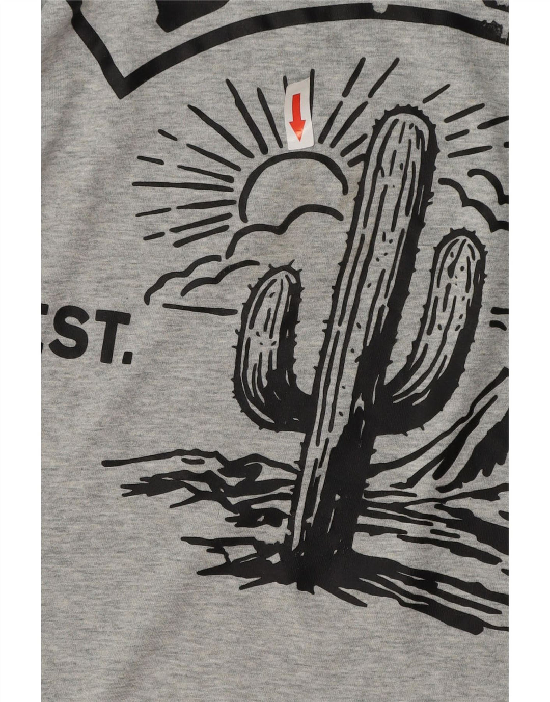 DIESEL Camiseta gráfica para hombre Top XL Gris Algodón