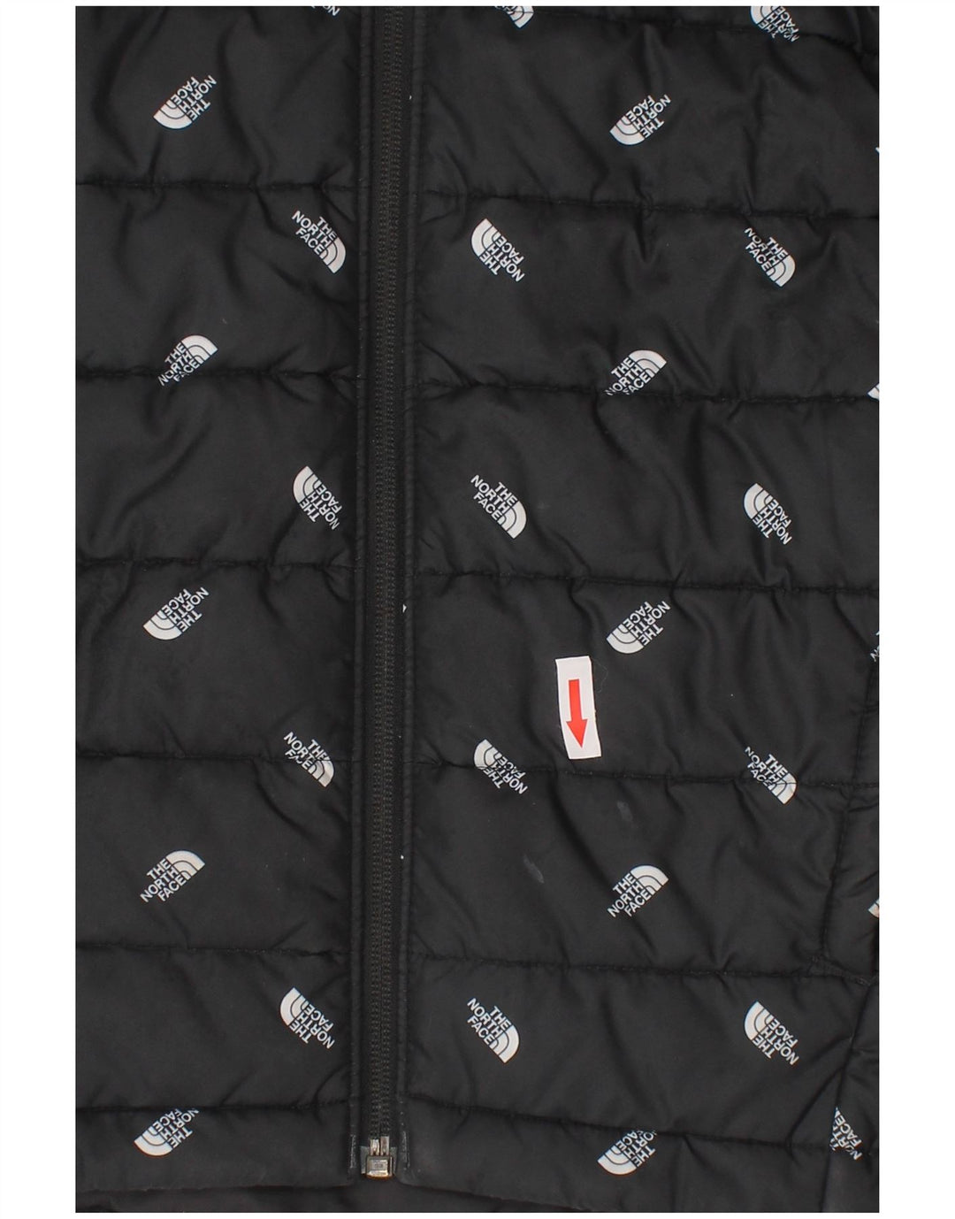 The North Face Chaqueta acolchada con capucha para niños 9-10 años Mediana Negro