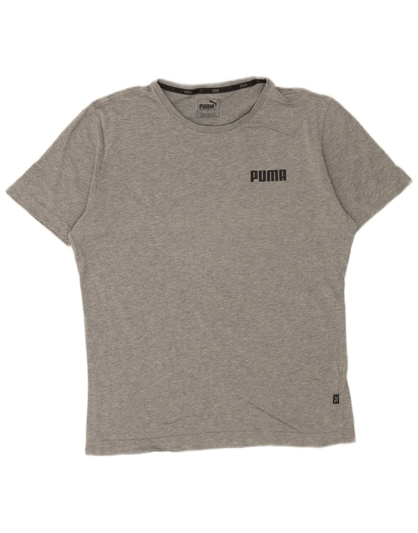 Camiseta Puma Hombre Top Small Gris Algodón