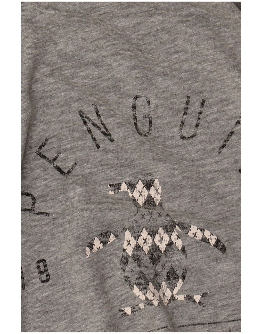 Penguin - Camiseta gráfica para hombre, talla grande, algodón gris