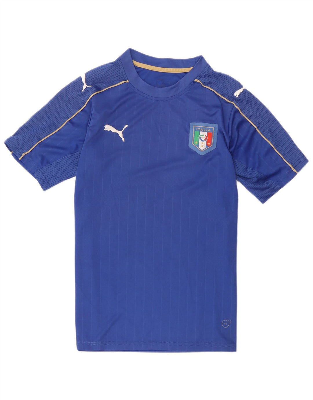 Camiseta Puma Italia Graphic Top Azul Medio Poliéster