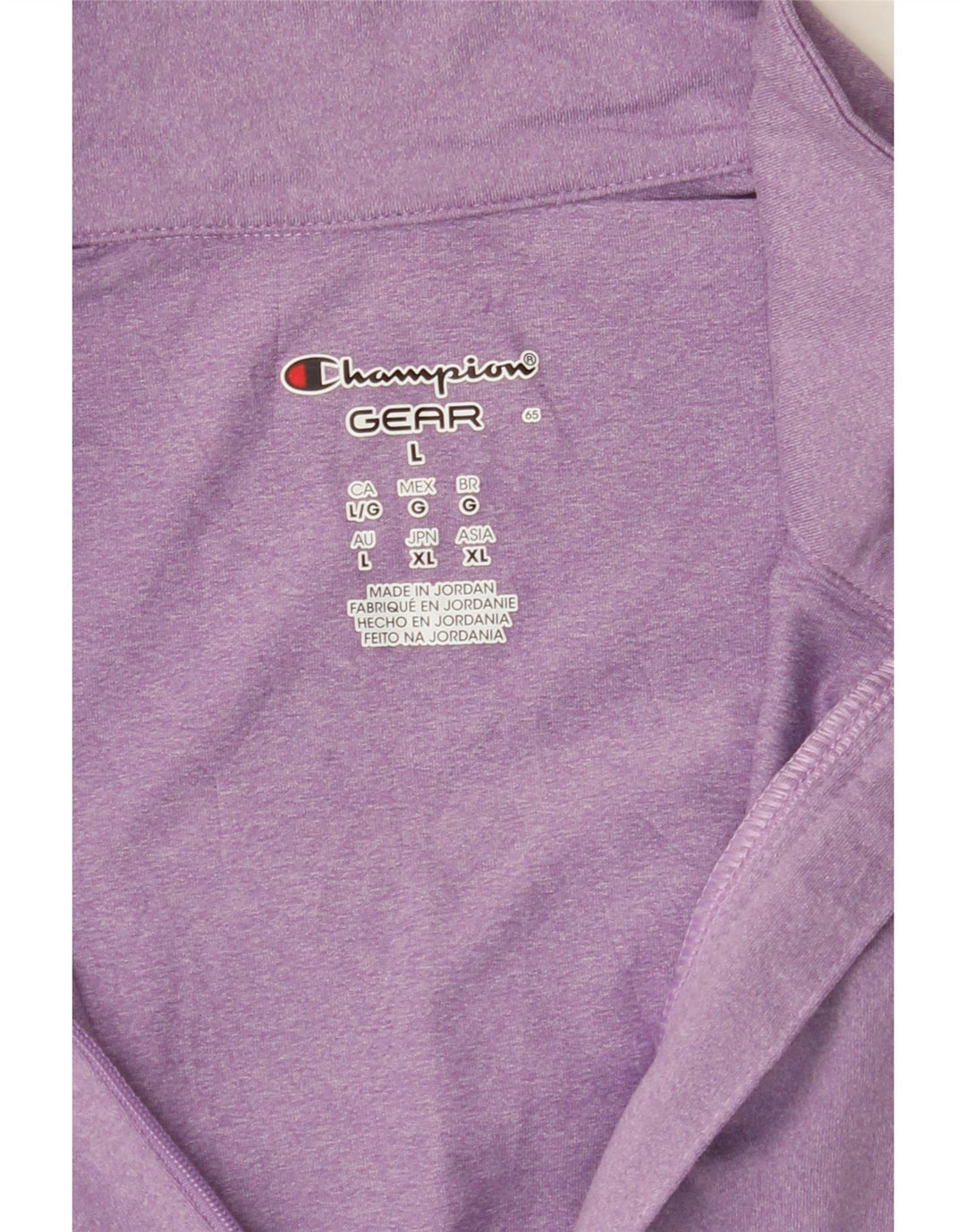 CHAMPION Womens Zip Neck Pullover Tracksuit Top UK 16 Large Purple Vintage Champion and Second-Hand Champion from Messina Hembry 
