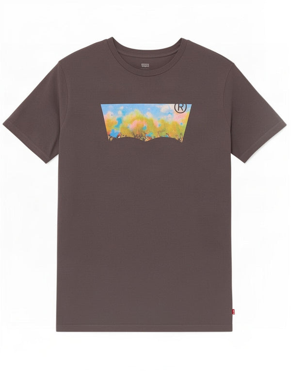 Levi's - Camiseta gráfica para hombre, talla grande, color gris