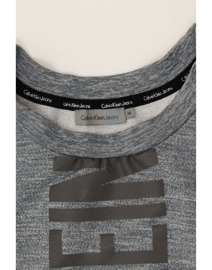 CALVIN KLEIN JEANS Womens Graphic Sweatshirt Jumper UK 14 Medium Grey Vintage Calvin Klein Jeans and Second-Hand Calvin Klein Jeans from Messina Hembry 
