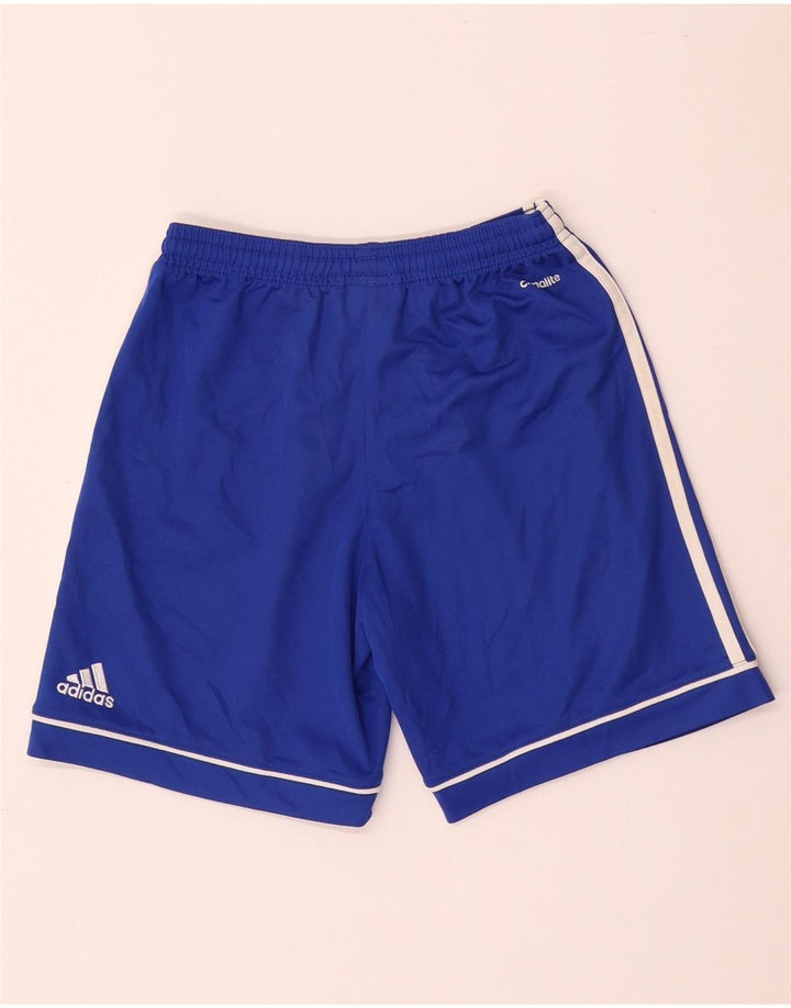 Adidas Chicos Climalite Sport Shorts 11-12 Años Azul Poliéster