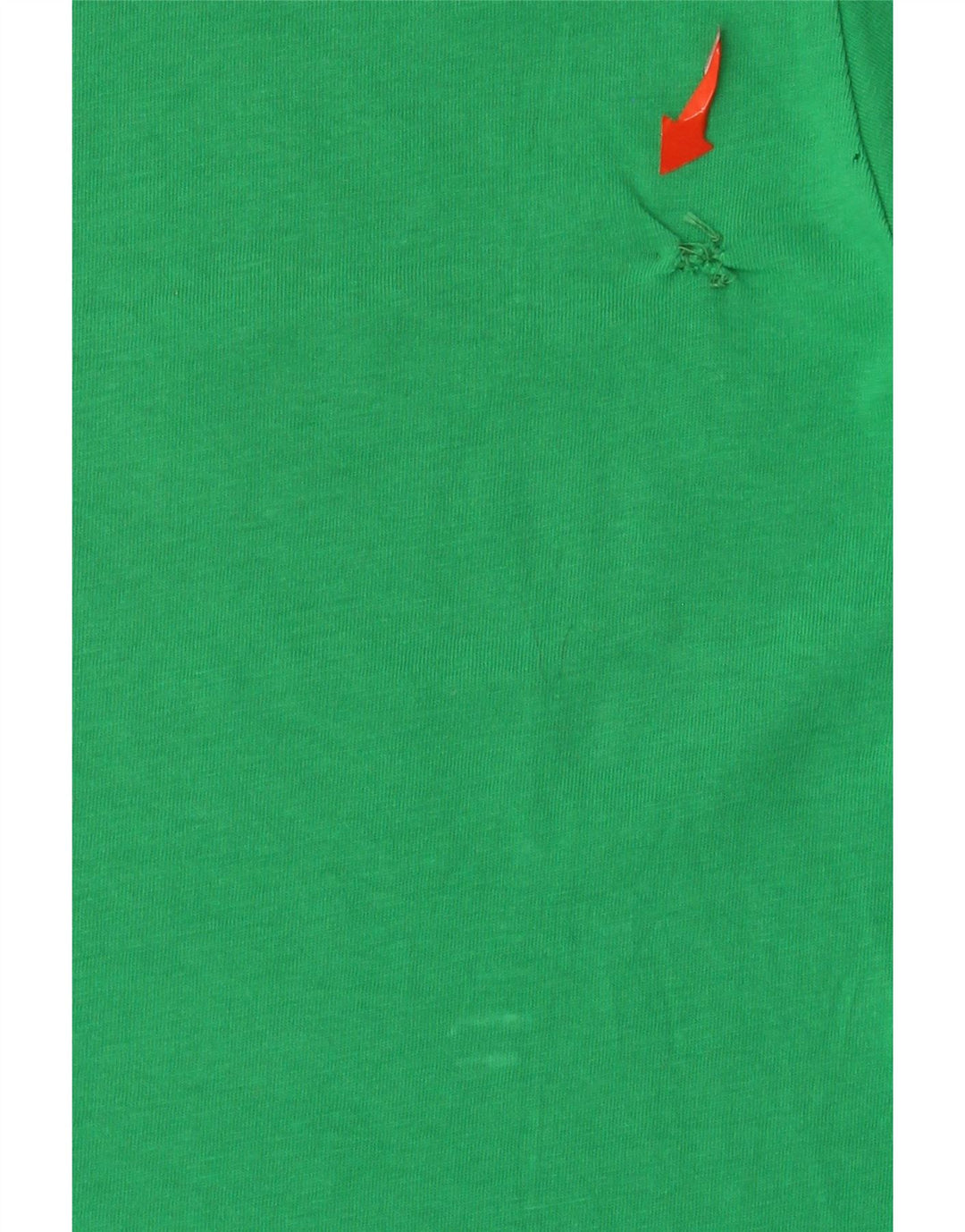 Champion Camiseta Gráfica Para Hombre Top Algodón Verde Medio