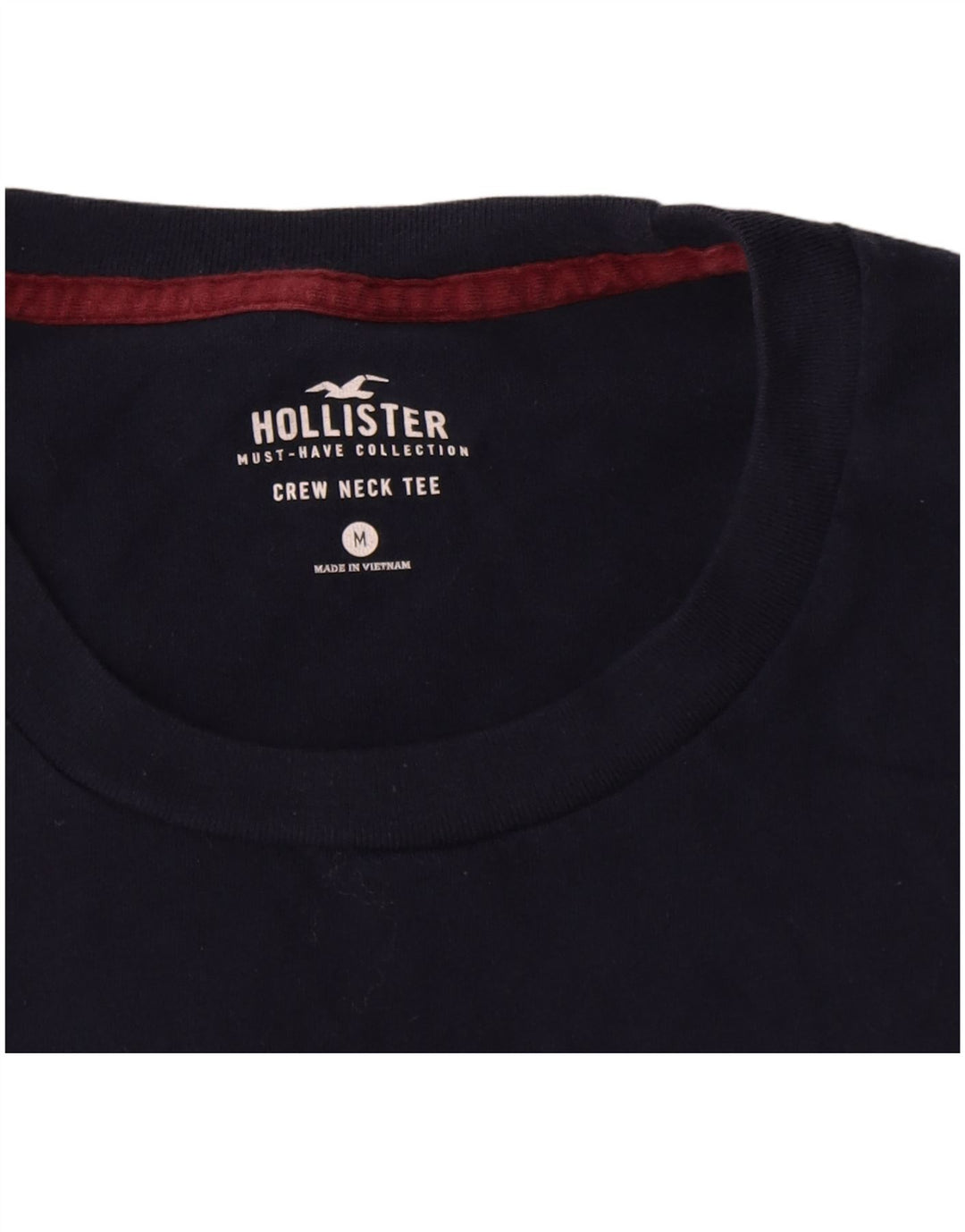 Camiseta Hollister Hombre Top Medium Azul Marino Algodón