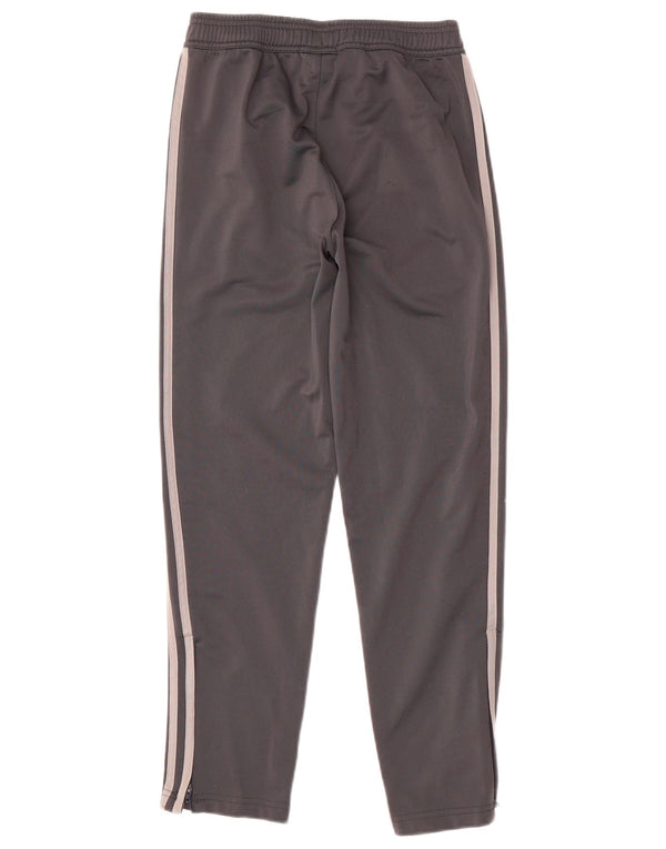 ADIDAS Pantalón de chándal Juventus para niño 11-12 años Gris Poliéster