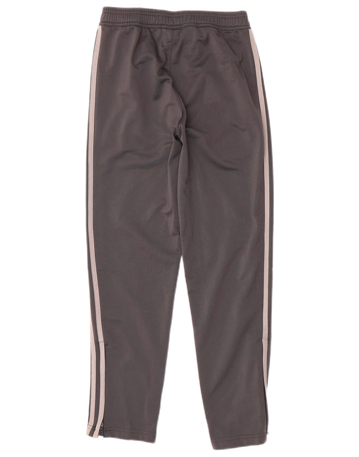 ADIDAS Pantalón de chándal Juventus para niño 11-12 años Gris Poliéster