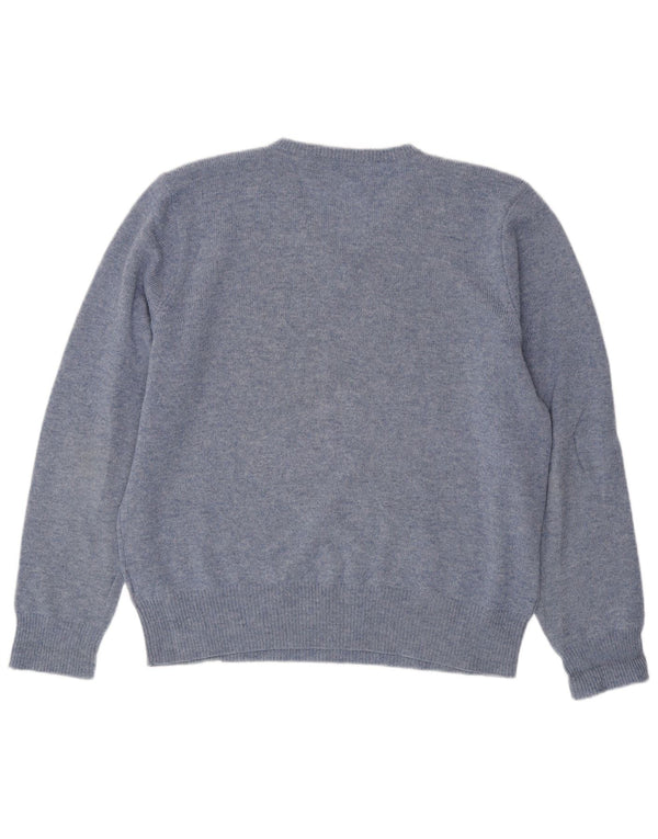 POLO RALPH LAUREN Mens V-Neck Jumper Sweater XL Blue Flecked Lambswool