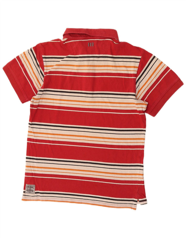 Animal Polo De Hombre De Algodón A Rayas Rojo Medio