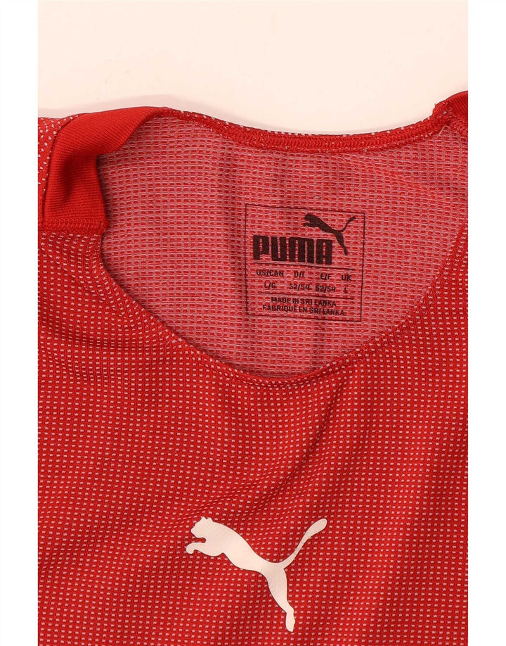 Puma - Camiseta gráfica para hombre, talla grande, color rojo a rayas