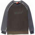 Puma Sudadera Gráfica Jumper Medium Azul Marino Colorblock
